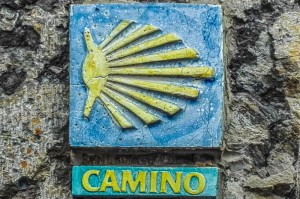 a-santiago-lungo-il-cammino-primitivo_96377_display