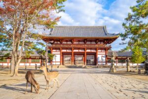 Cervi liberi davanti alla porta centrale (Chūmon) del tempio Tōdai-ji, Nara, Giappone